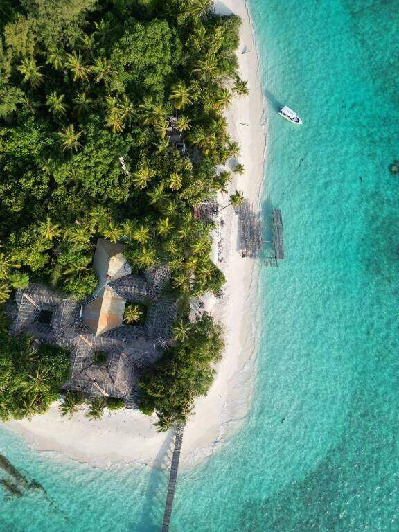 Island beach with palm trees and clear turquoise water